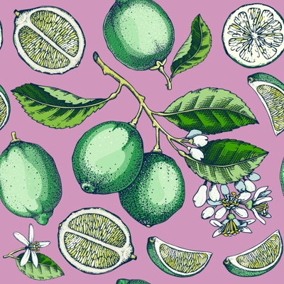Lime fruit seamless pattern. Citrus fruit sketches. Watercolor style botanical background. Exotic plants texture. Hand drawn vector illustration. NOT AI generated